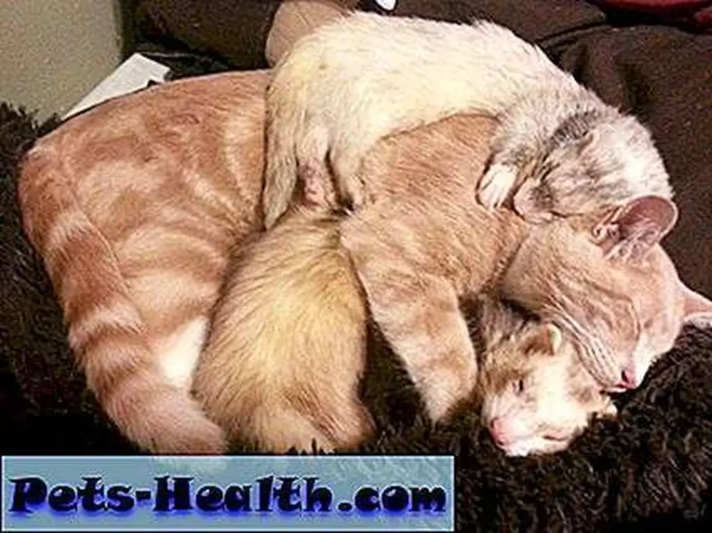 Nooo! Too cute! Nooo! Too cute!