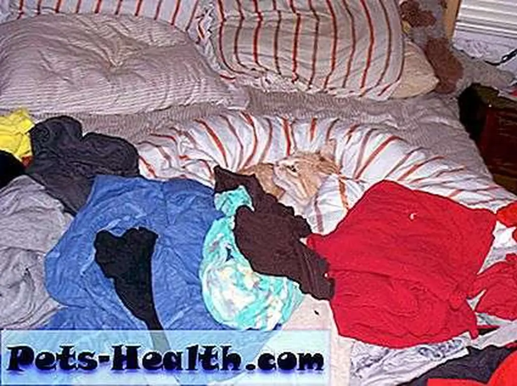 One with the Laundry: I particularly like this pose as it combines my love of shedding with my love of Mina Yoga. One with the Laundry: I particularly like this pose as it combines my love of shedding with my love of Mina Yoga.