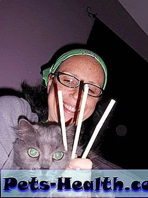 Saffy: Saffy: