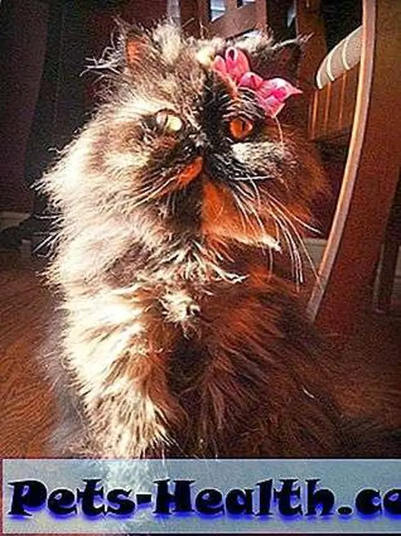 Now THIS is beauty. Now THIS is beauty.