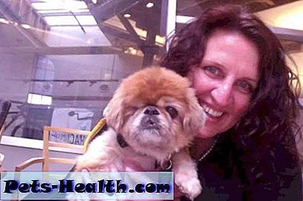 Lori and Beasley. Lori and Beasley.