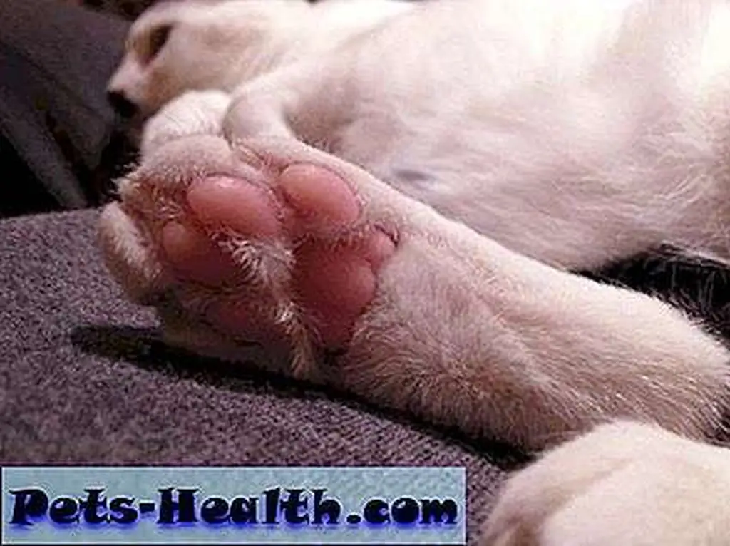 Jelly bean toes! Jelly bean toes!