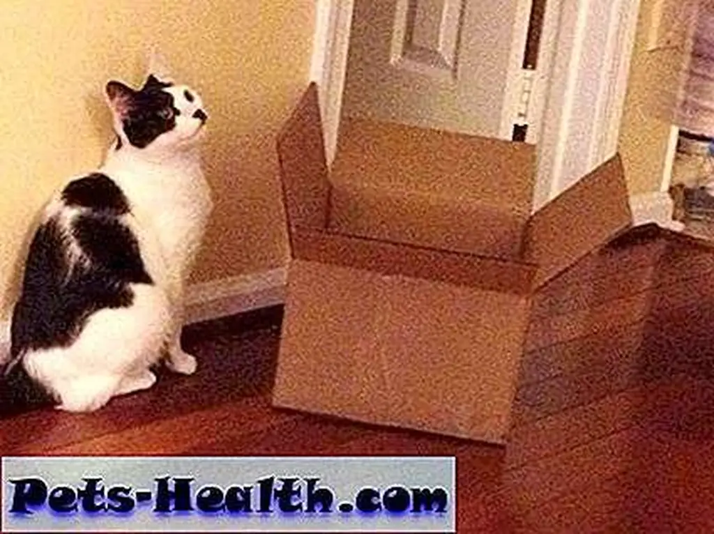 BOXES. BOXES.