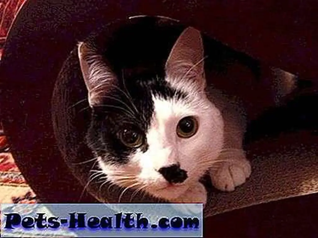 Come with Jeddah on her journey … Come with Jeddah on her journey …