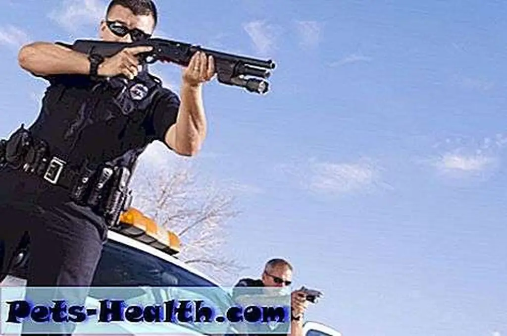 Police officer aiming with gun by car by Shutterstock. Police officer aiming with gun by car by Shutterstock.