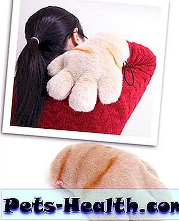 biggest cat paw pads biggest cat paw pads