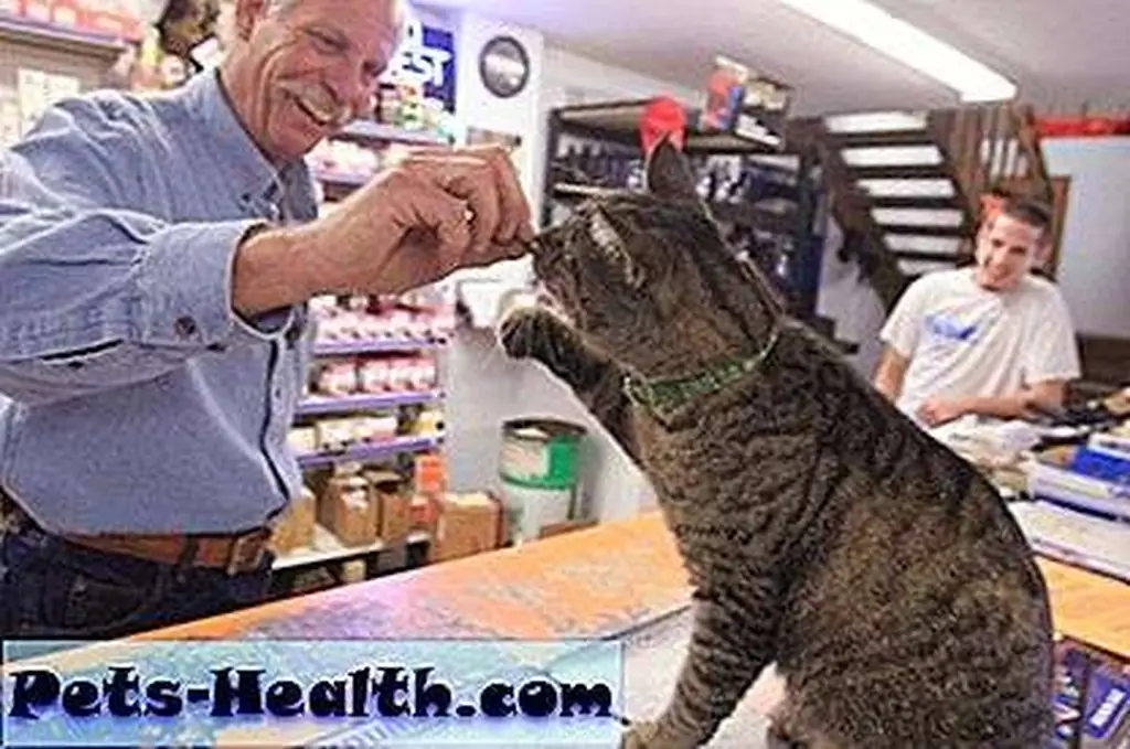 Auto charms everyone--it's part of his job description