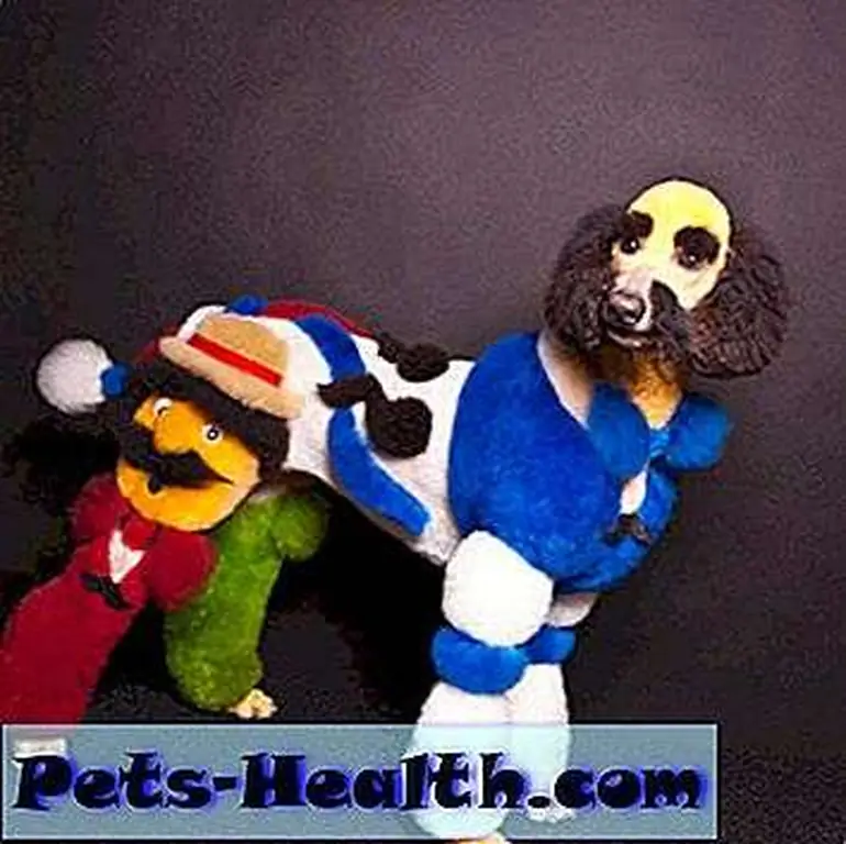 Image Image
