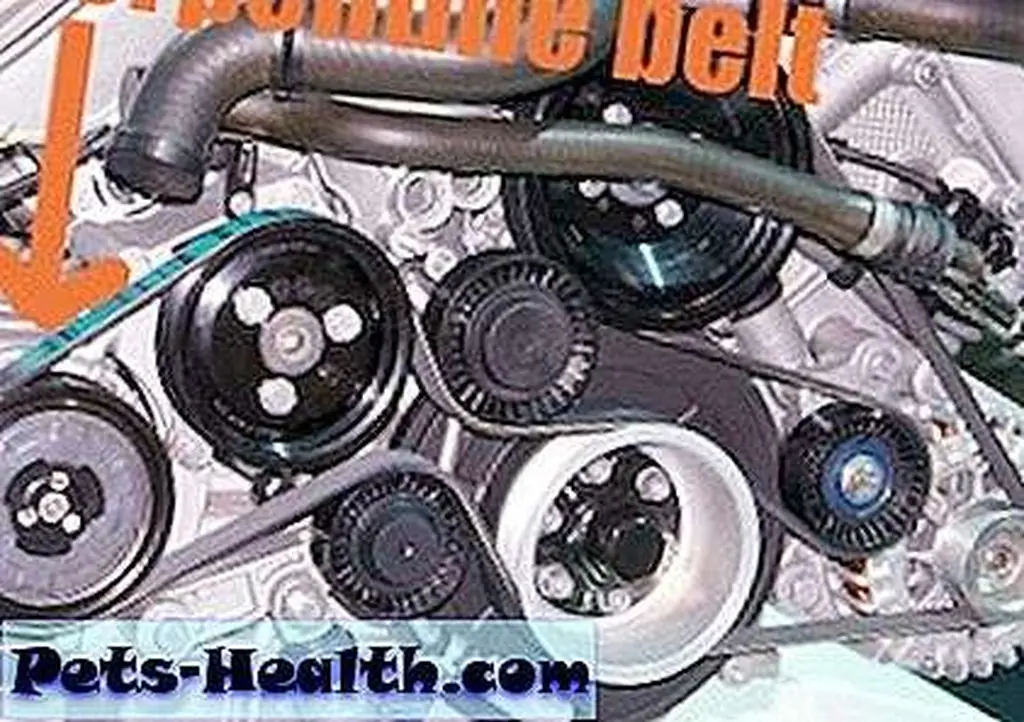 Photo of a car engine with the serpentine belt highlighted Photo of a car engine with the serpentine belt highlighted