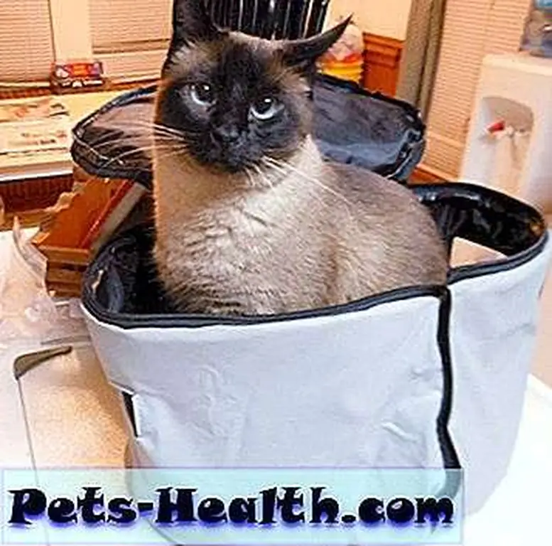 Sitting in bags … Sitting in bags …