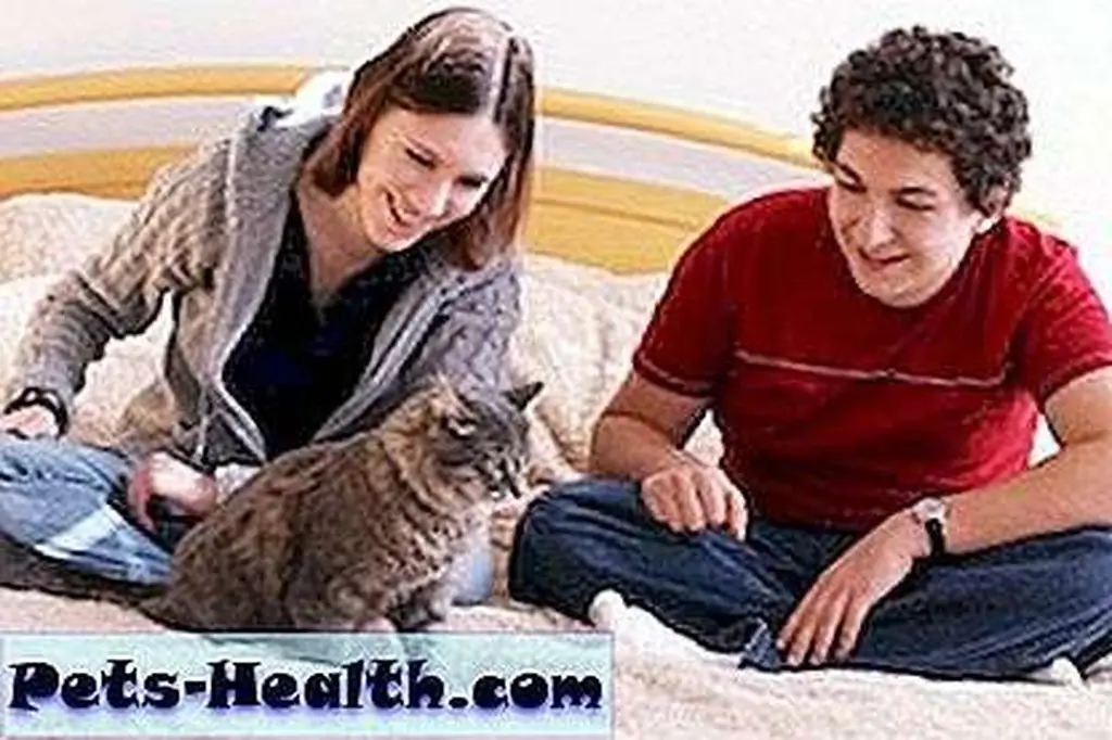 The CATalyst Council is working with vets and animal rescue organizations to combat the The CATalyst Council is working with vets and animal rescue organizations to combat the