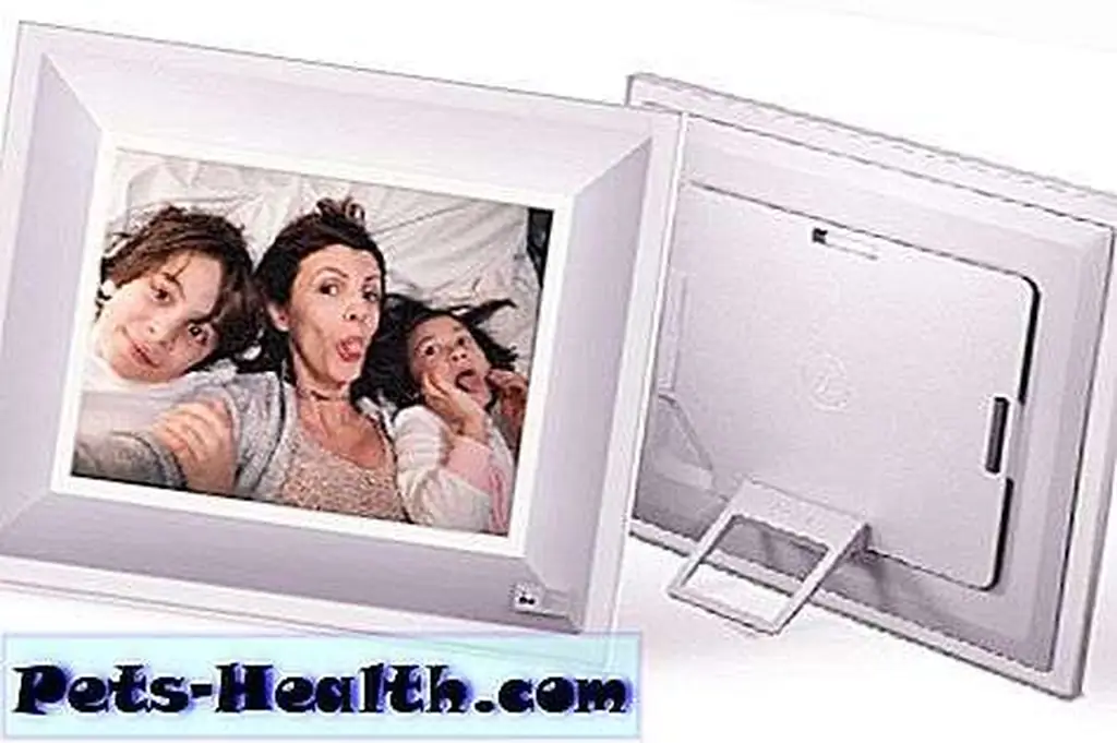 Image Image
