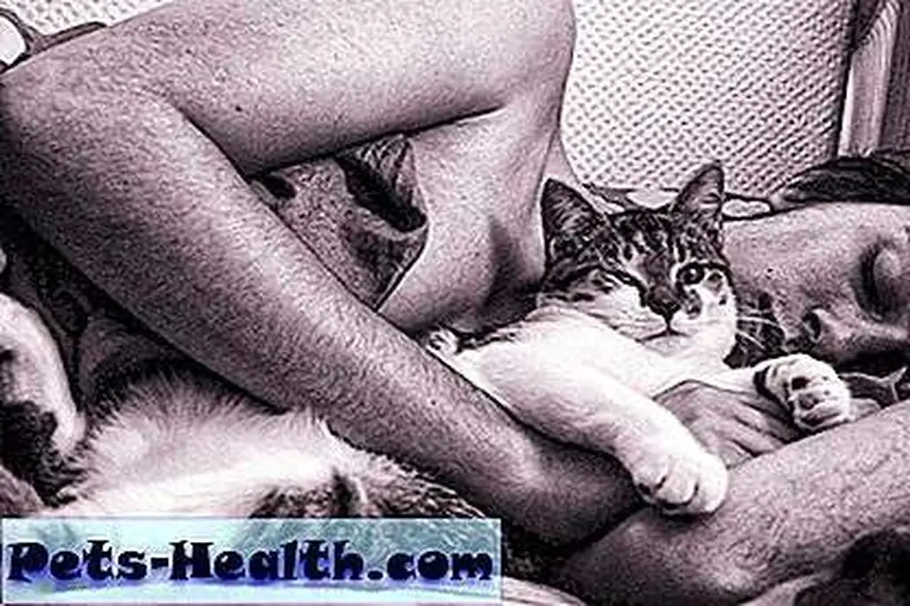 Every cat deserves a loving embrace like this. Photo by diastème Every cat deserves a loving embrace like this. Photo by diastème