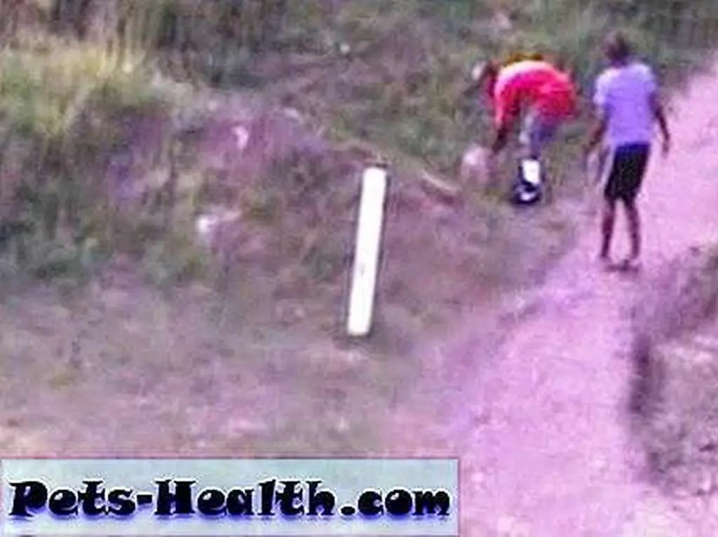 A still from surveillance footage of the two men who dumped Ava and Basil. Photo courtesy of IOL News A still from surveillance footage of the two men who dumped Ava and Basil. Photo courtesy of IOL News