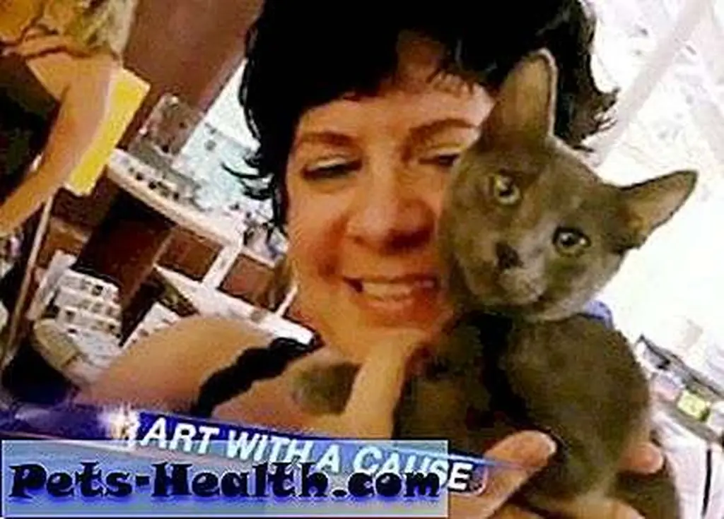 Kate Benjamin holds one of the adoptable cats who got to spend an evening at her studio. Image: Screen capture from news video Kate Benjamin holds one of the adoptable cats who got to spend an evening at her studio. Image: Screen capture from news video