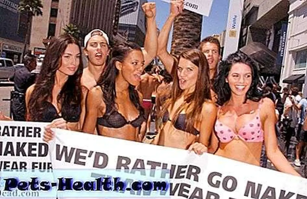Models with the Janice Dickinson Modeling Agency show their support (and their lingerie) in support of PETA's Models with the Janice Dickinson Modeling Agency show their support (and their lingerie) in support of PETA's