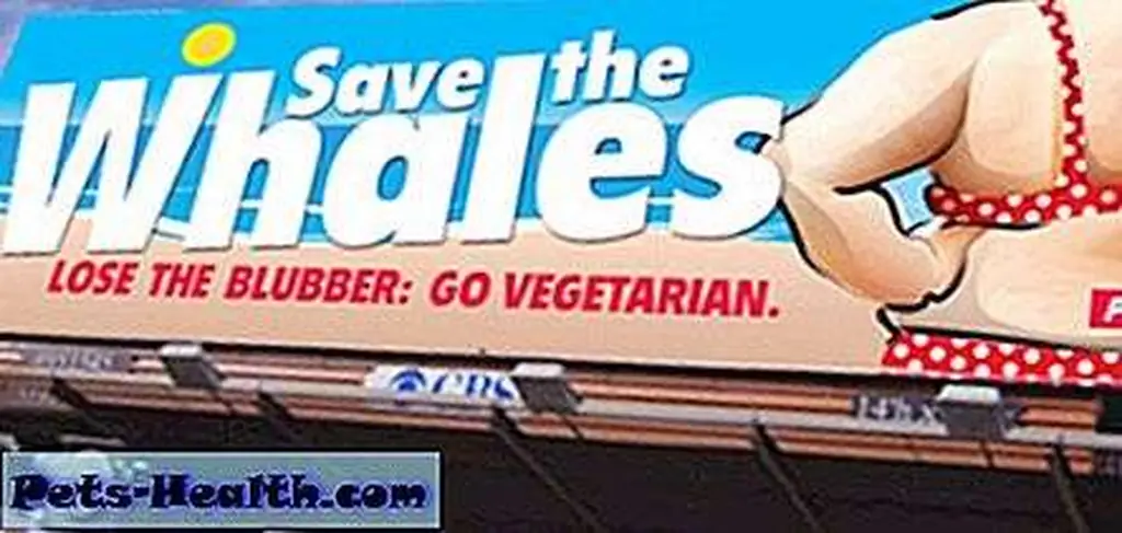 Oh, fat shaming too? Stay classy, PETA! Oh, fat shaming too? Stay classy, PETA!