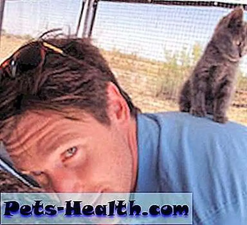 Musician John Fulton will host Animal Planet's new show Musician John Fulton will host Animal Planet's new show
