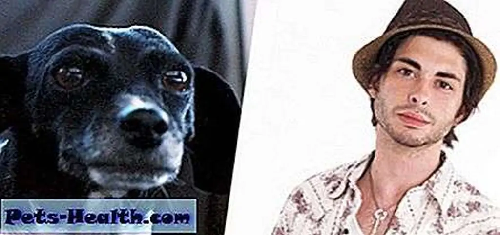 Can you see the resemblance? Photo by John Lambert Pearson Can you see the resemblance? Photo by John Lambert Pearson