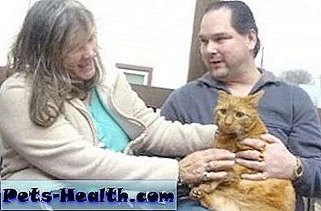 Patricia and Tim Shuhayda sit on the front porch of their Lafayette Street home on Monday with their cat, Max, whom they credit with saving them from a potentially disastrous fire. Patricia and Tim Shuhayda sit on the front porch of their Lafayette Street home on Monday with their cat, Max, whom they credit with saving them from a potentially disastrous fire.