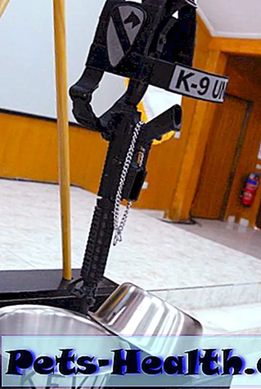 When a military working dog dies, his food/water bowl is turned upside down, and his harness and collar hung up, to symbolize he won't be needing them anymore. (Photo courtesy Emily Pieracci) When a military working dog dies, his food/water bowl is turned upside down, and his harness and collar hung up, to symbolize he won't be needing them anymore. (Photo courtesy Emily Pieracci)