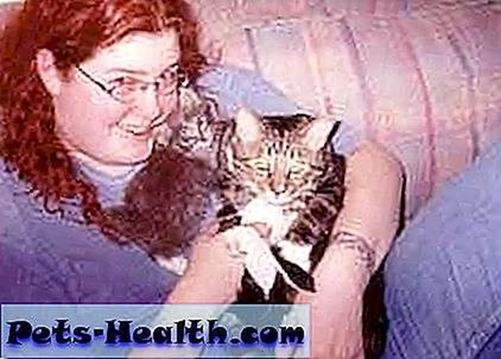 Catster Turkish Poof and his person Catster Turkish Poof and his person