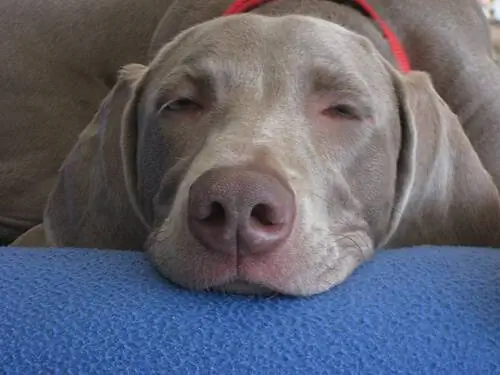 Автор: Натан Итон мл.