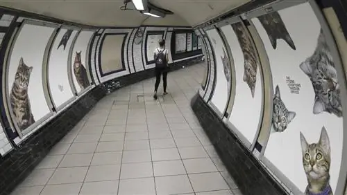 Лондонское метро