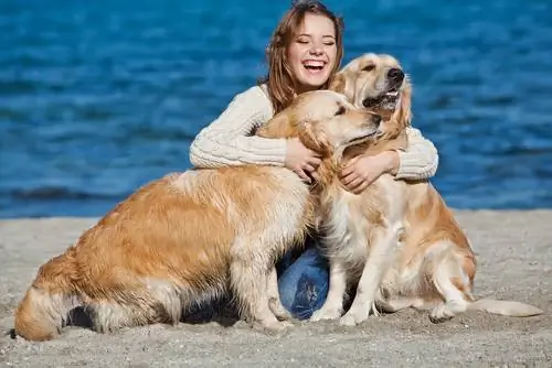 я люблю собак я люблю собак