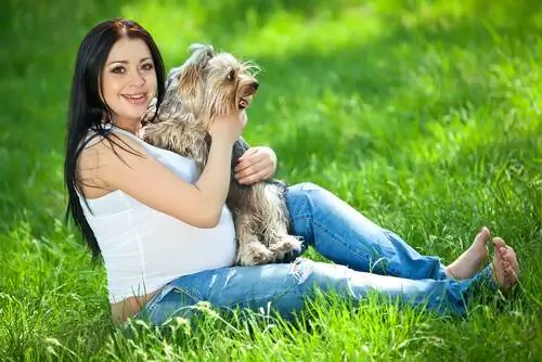 Способны ли собаки определить беременность?