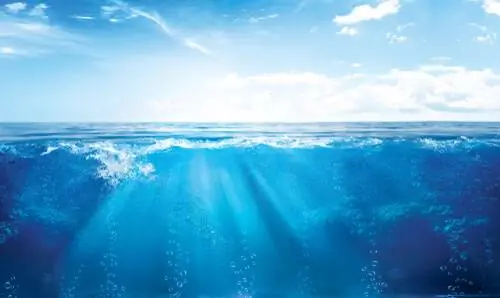 морская экосистема морская экосистема