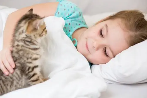 Являются ли кошки хорошими домашними животными для детей?