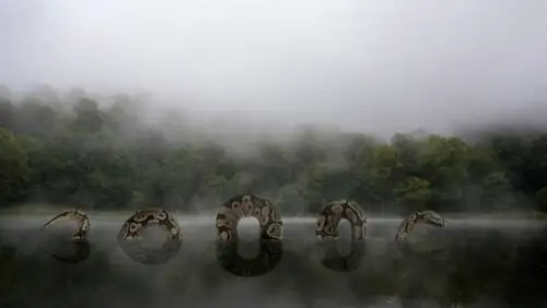 Латиноамериканские легенды о животных