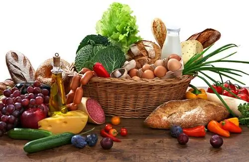 Питательные продукты для щенков Питательные продукты для щенков