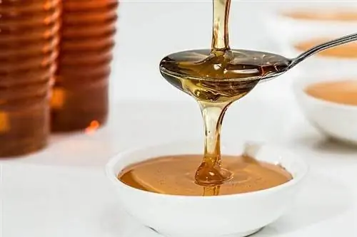 Польза продуктов Bee Hive для здоровья собак