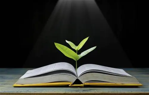 Трава растет из книги. Трава растет из книги.