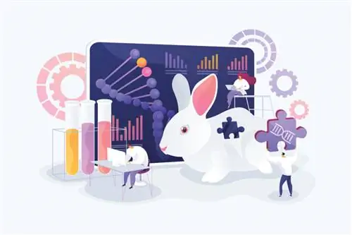 Генная инженерия у животных: все, что вам нужно знать Генная инженерия у животных: все, что вам нужно знать