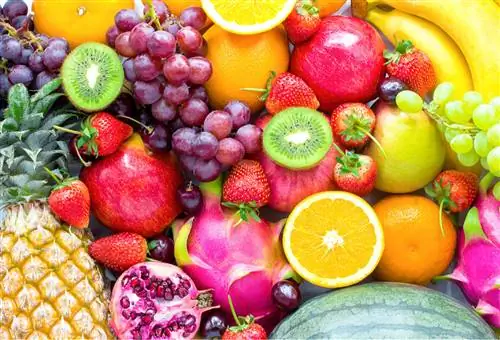 Какие фрукты можно есть канарейке?