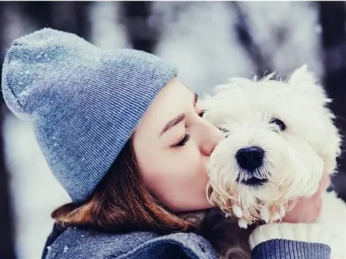 Любят ли собаки целоваться?