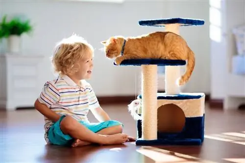 Пример кошачьей гимнастики.