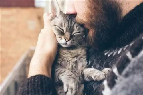 Знаете ли вы, подходит ли вам ваша кошка? Знаете ли вы, подходит ли вам ваша кошка?