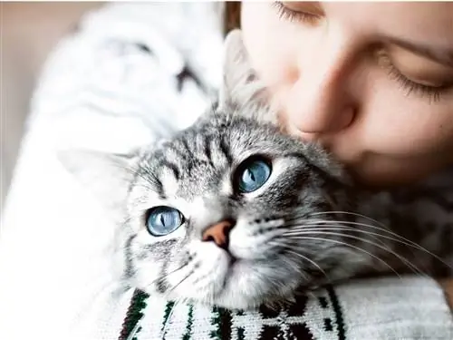 Скучают ли кошки по людям?