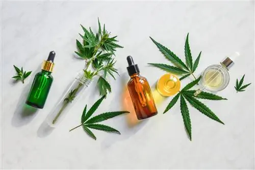 Масла с CBD на белом фоне. Масла с CBD на белом фоне.