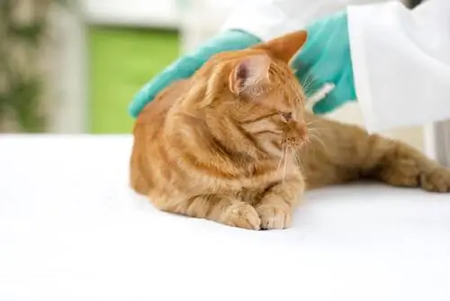 Вакцины обязательны