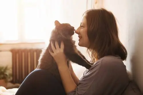 Прибытие котенка домой: что нужно?