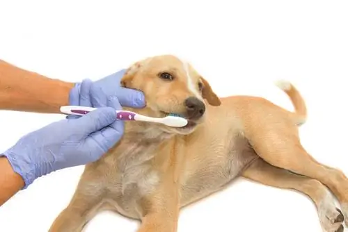 Чистить зубы