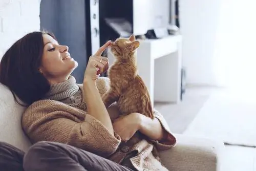кошки при аутизме кошки при аутизме