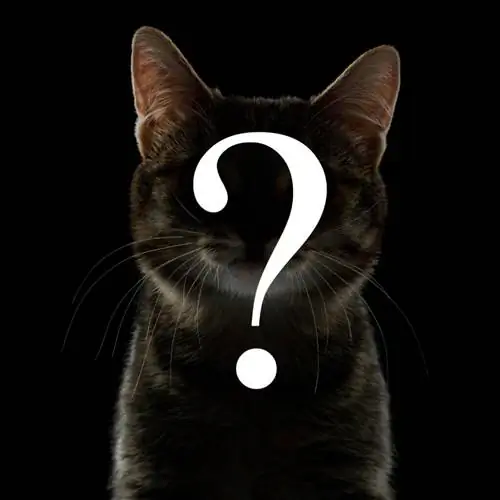 Как определить породу своей кошки? (чистый или смешанный)