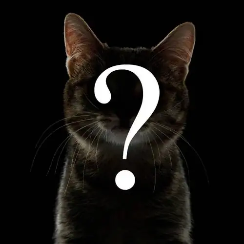 Как определить породу своей кошки? (чистый или смешанный)