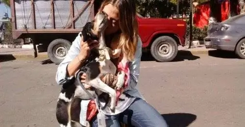 поведение-сука-рвение поведение-сука-рвение